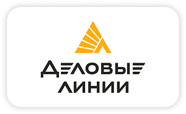 Деловые Линии